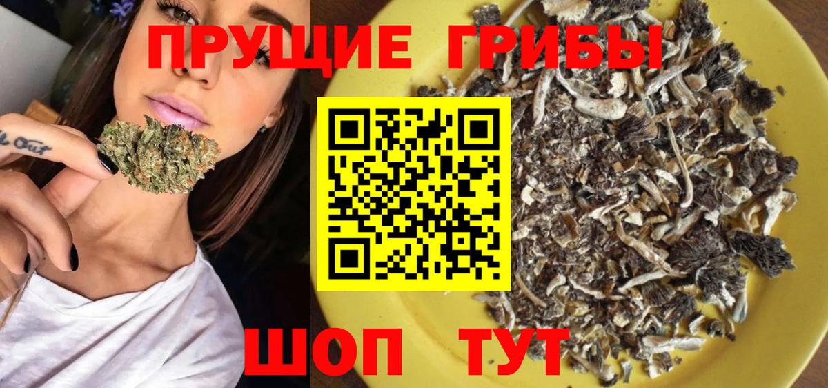 Псилоцибиновые грибы MAGIC MUSHROOMS Омск