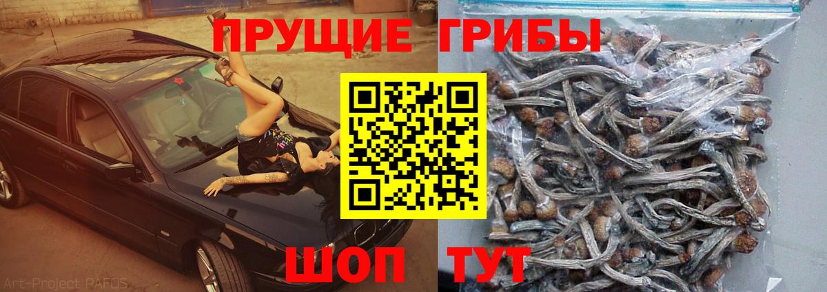 Омск  Галлюциногенные грибы Psilocybe  продажа наркотиков  Вход с VPN 